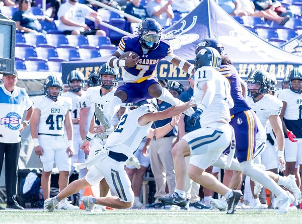 How is the education sector evolving in the digital age?